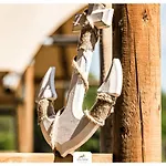 Tente de luxe Liva Park Nature *