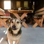 Tente de luxe Liva Park Nature *