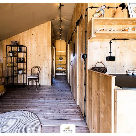 Luxury tent Liva Park Nature Liwa