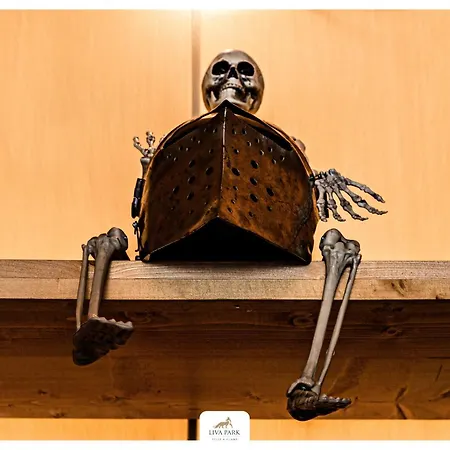 Liva Park Nature * Liwa