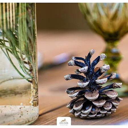 Liva Park Nature Glamping *