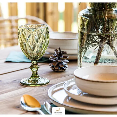 Glamping Liva Park Nature Liwa