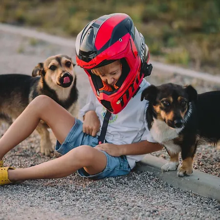 Liva Park Nature Glamping