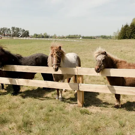 Glamping Liva Park Nature