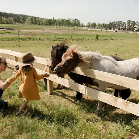 Liva Park Nature Glamping