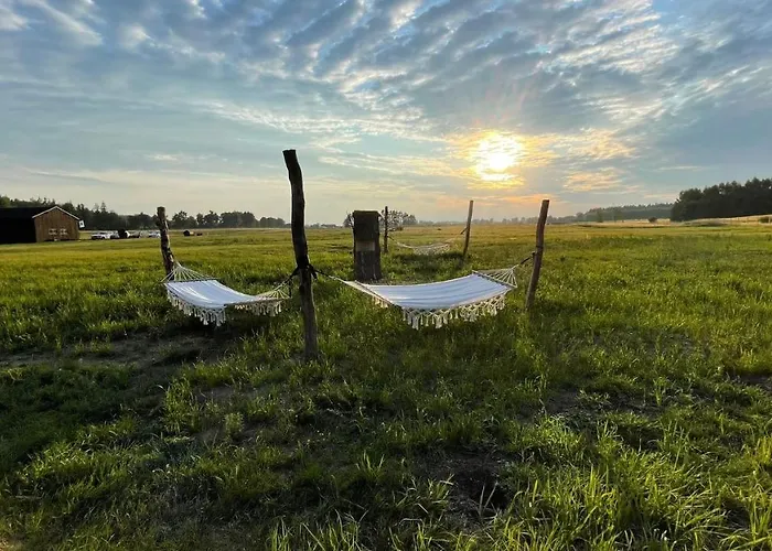 Liva Park Nature Luxury tent Liwa