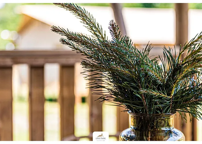 Liva Park Nature * Liwa