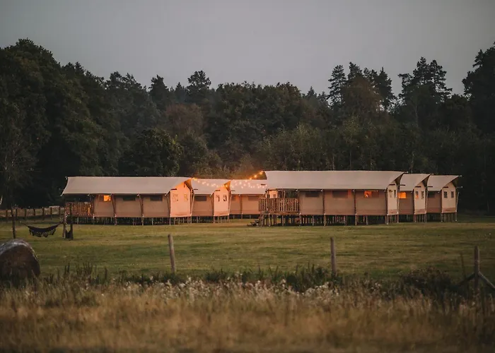 Liva Park Nature * Liwa